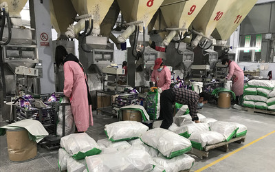 德州武城:金融&ldquo;春風&rdquo;送來企業(yè)復工&ldquo;及時雨&rdquo;